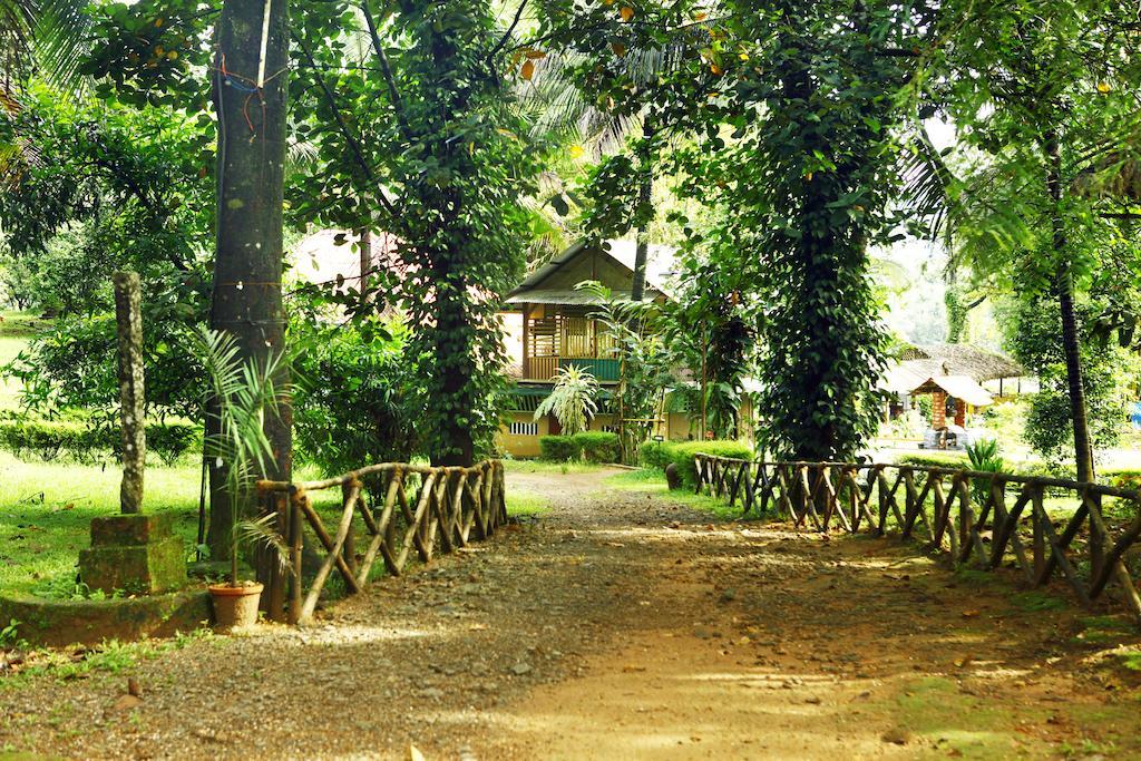 ホテルソマ バーズ ラグーン リゾート Kotamangalam エクステリア 写真